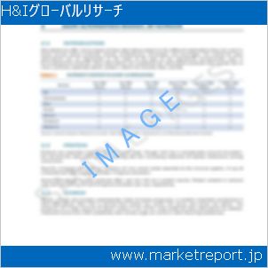 市場と産業調査レポートのイメージ